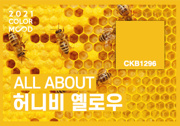 2021 컬러무드_01 HOENY BEE YELLOW [CKB1296]
